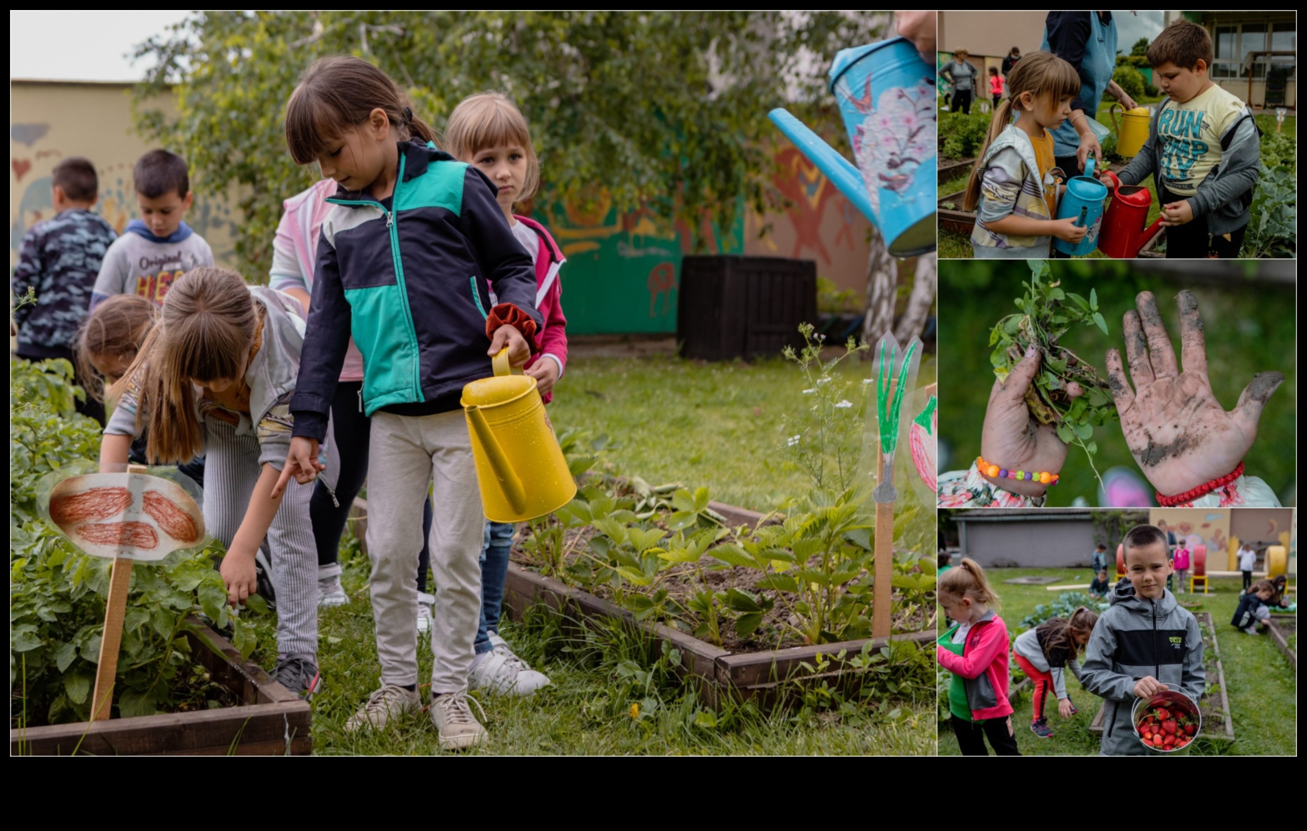 Εκκολαπτόμενοι μελετητές που καλλιεργούν την αγάπη για τη μάθηση στον κήπο 3 Budding Scholars: Growing Minds μέσω της εκπαίδευσης στον κήπο