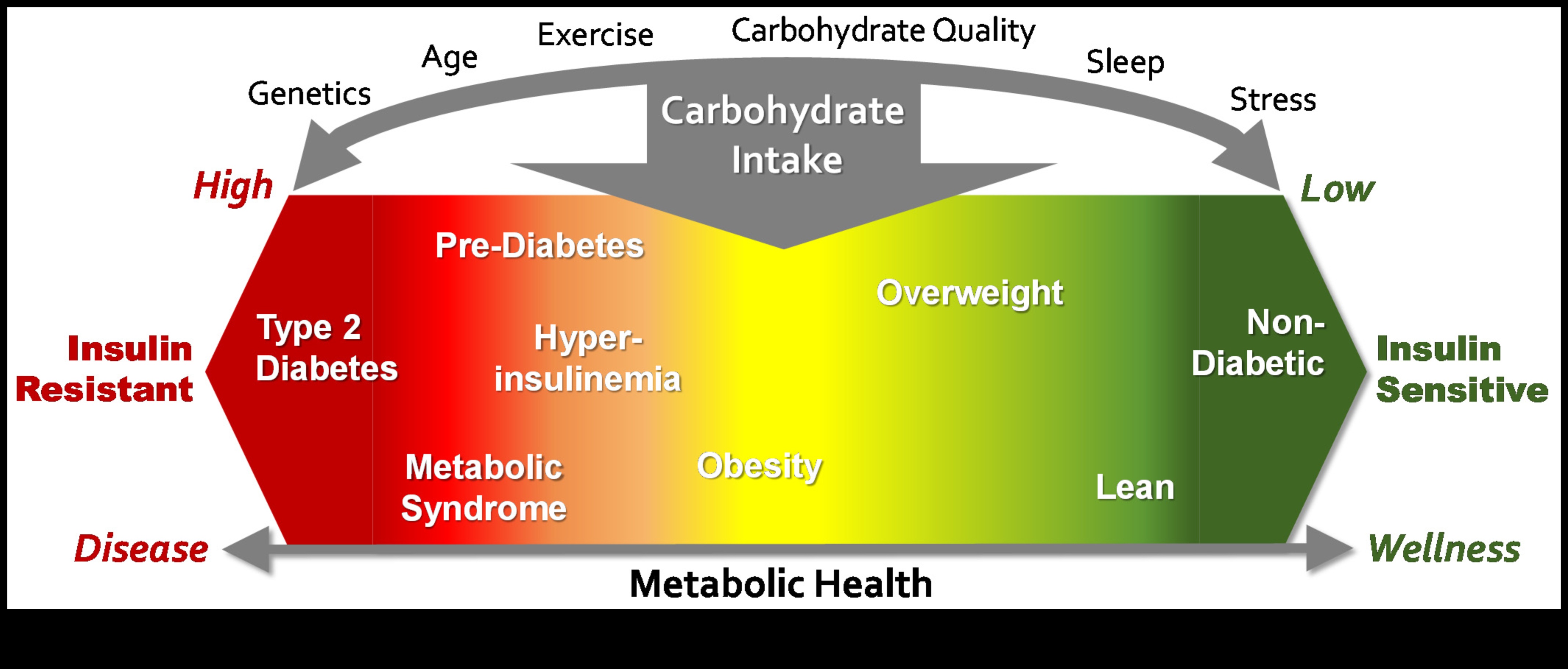 Υδατάνθρακες Wisdom: Ένας ολοκληρωμένος οδηγός για τη διατροφική ισορροπία
