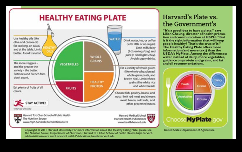 Η Πλάκα Δημόσιας Υγείας: Ισορροπώντας Διατροφή για Όλους