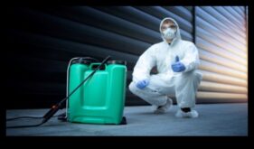 Διώξτε τους ανεπιθύμητους επισκέπτες από τον κήπο σας Ένας οδηγός για την αποτελεσματική καταπολέμηση των παρασίτων