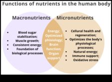 Απαραίτητα μικροθρεπτικά συστατικά Το ίδρυμα για ένα υγιές σώμα και μυαλό