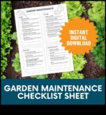 Seasonal Symphony Ένας οδηγός για την εναρμόνιση της ρουτίνας συντήρησης του κήπου σας