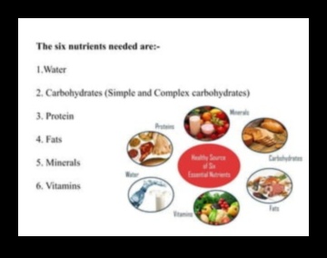 Mastery Carbohydrate Ένας οδηγός για τα βασικά θρεπτικά συστατικά 5 Κυριαρχία στους υδατάνθρακες: Πλοήγηση στον κόσμο των βασικών θρεπτικών συστατικών