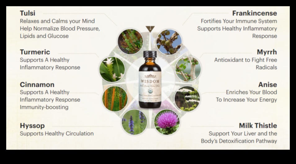 Θρεπτική σοφία Πώς να τρώτε για μια πιο υγιεινή, πιο ευτυχισμένη ζωή 4 Nutrient Wisdom: Ενισχύοντας τη ζωή σας μέσω της διατροφής