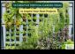 Φτάνοντας σε Νέους Ορίζοντες Κατακόρυφα θαύματα κηπουρικής που θα σας εμπνεύσουν