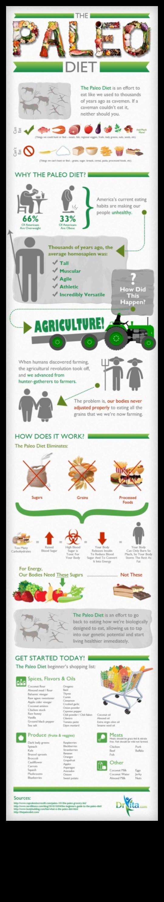 Παλαιό και βιώσιμη διαβίωση: Μια ολιστική προοπτική