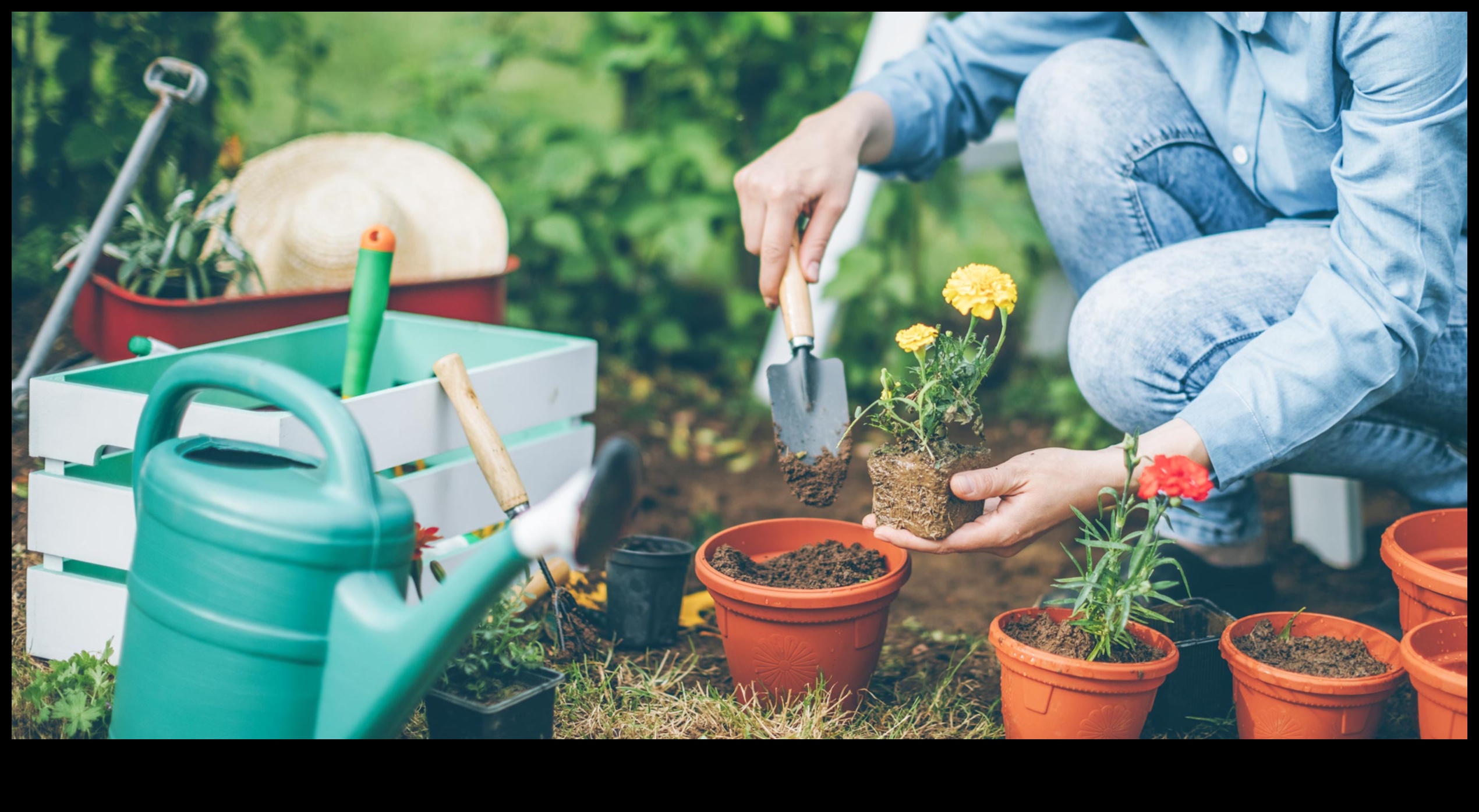 Αποκαλύφθηκαν τα απαραίτητα εργαλεία κήπου Green Magic για ένα όμορφο και παραγωγικό γκαζόν 4 Το Green Magic: Must-Have Garden Tools αποκαλύφθηκαν