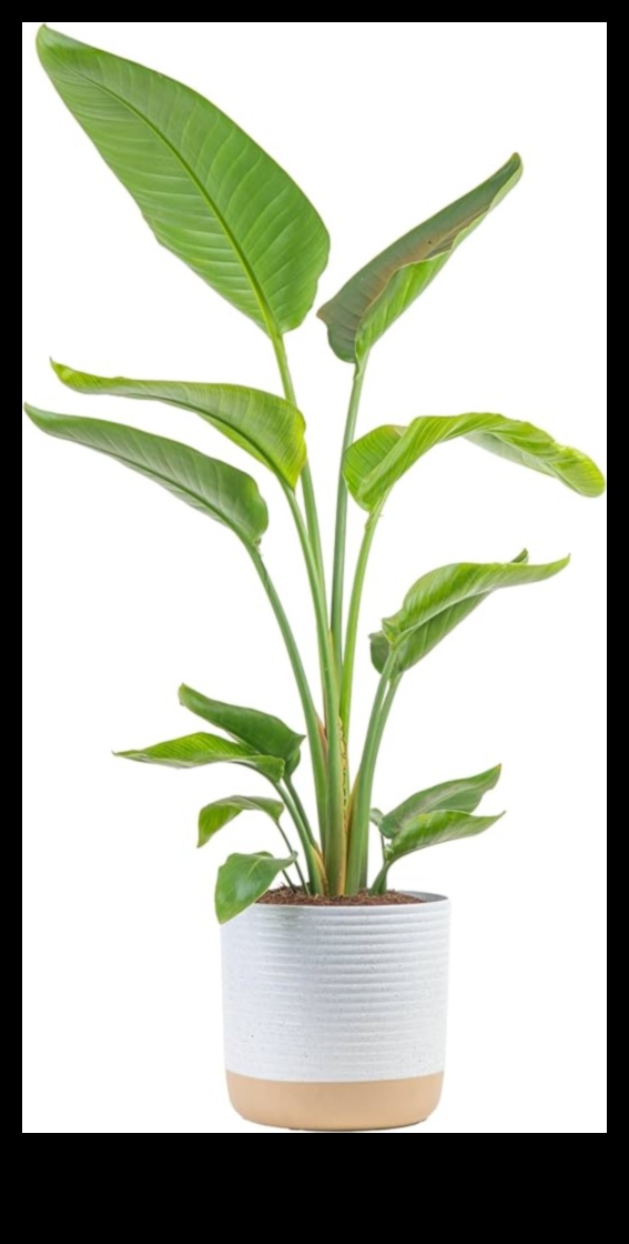 Potted Paradise: Indoor Gardening for Every Living Space