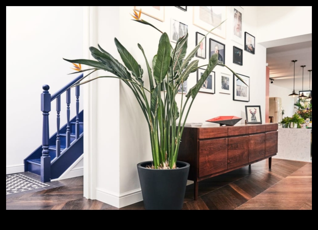 Potted Paradise: Indoor Gardening for Every Living Space