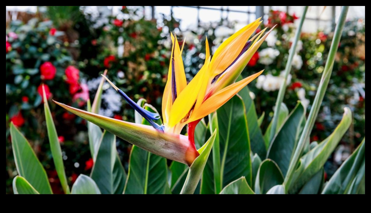 Potted Paradise: Indoor Gardening for Every Living Space