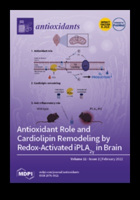Αποκαλύφθηκαν τα αντιοξειδωτικά: Ξεκλειδώνοντας τα μυστικά για την κορυφαία απόδοση