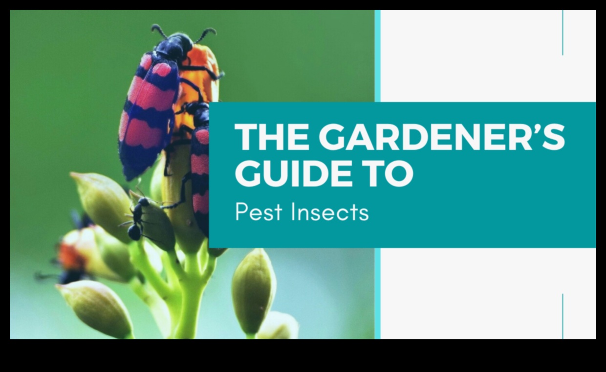 Defend Your Domain: A Gardener's Guide to Pests