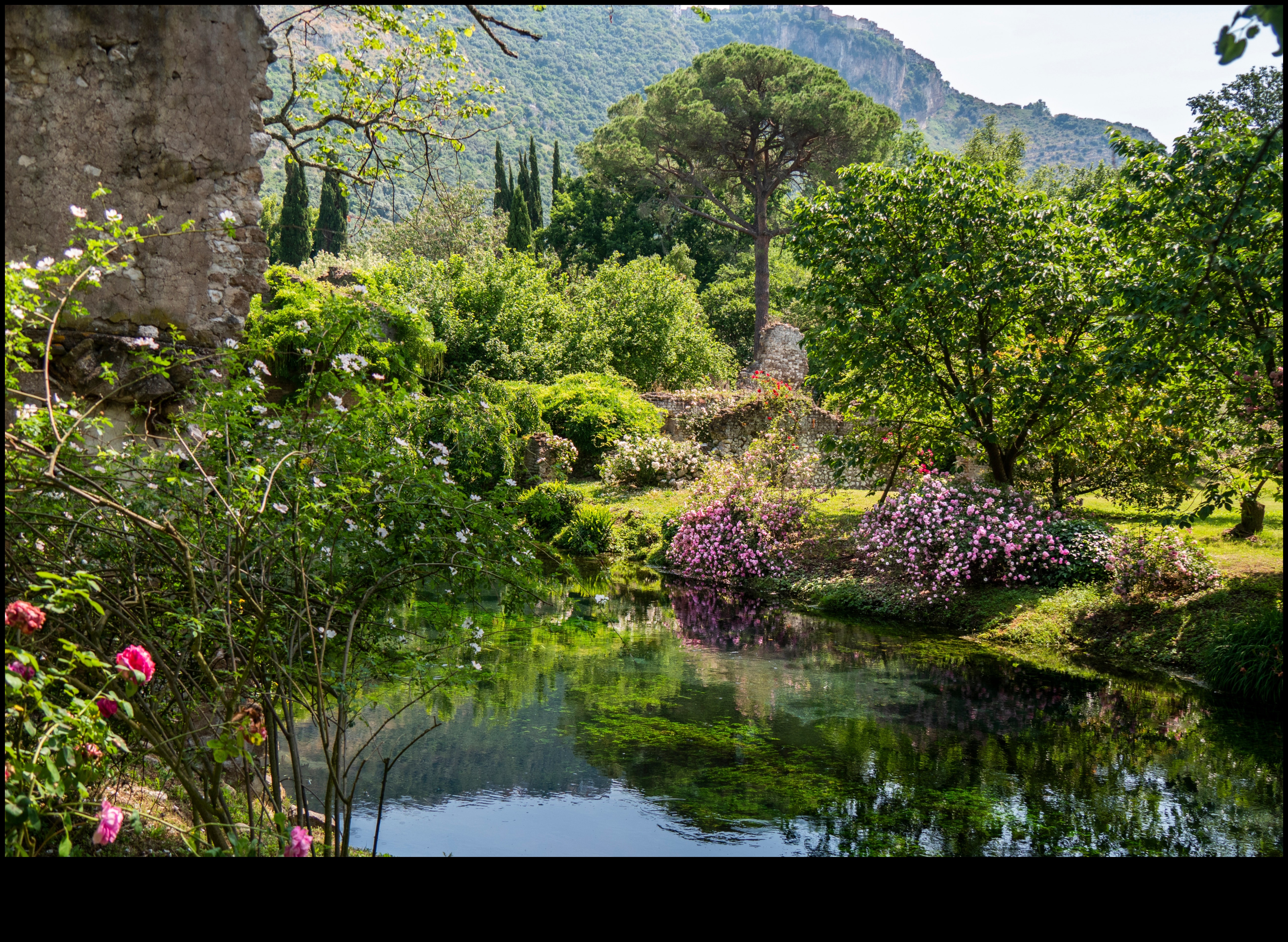 Nature's Palette: Ζωγραφική Έμπνευση σε Εργαστήρια Κήπου