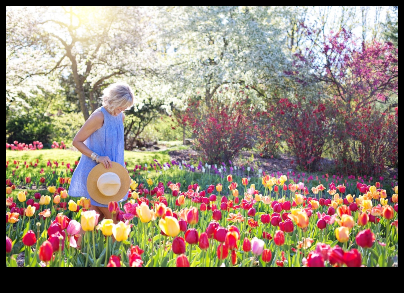 Nature's Palette: Ζωγραφική Έμπνευση σε Εργαστήρια Κήπου