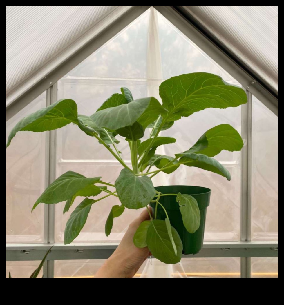 Harvest Happiness: Θερμοκήπιο Bounty σας περιμένει