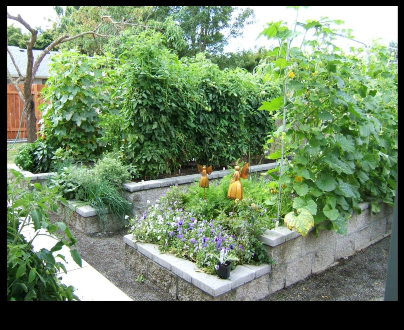 Μεγαλώνοντας προς τα πάνω κάθετους κήπους για κάθε χώρο, όσο μικρό κι αν είναι 3 Μεγαλώνοντας προς τα πάνω: Κάθετη κηπουρική για κάθε χώρο