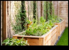 Μεγαλώνοντας προς τα πάνω κάθετους κήπους για κάθε χώρο, όσο μικρό κι αν είναι