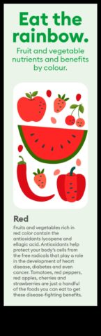 The Nutrient Spectrum Ένα ουράνιο τόξο επιτυχίας στη συμβουλευτική διατροφής