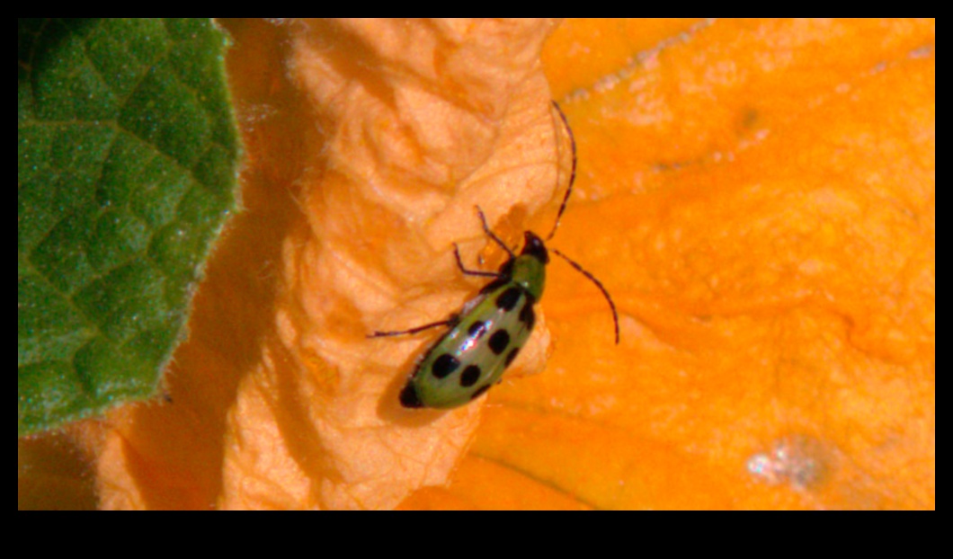 Battles in Bloom Πώς να καταπολεμήσετε τα κοινά παράσιτα του κήπου 2 Battles in Bloom: Tackling Troublesome Garden Pests