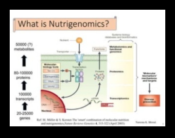 Γονίδια σε Αρμονία Η Επιστήμη της Διατροφογονιδιωματικής 3 Genes in Harmony: Exploring the Science of Nutrigenomics