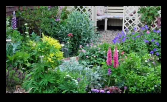 Rustic Elegance Ένας οδηγός για τη δημιουργία εξοχικών κήπων που είναι γοητευτικοί και λειτουργικοί 4 Ρουστίκ κομψότητα: Πλοήγηση στη γοητεία των εξοχικών κήπων