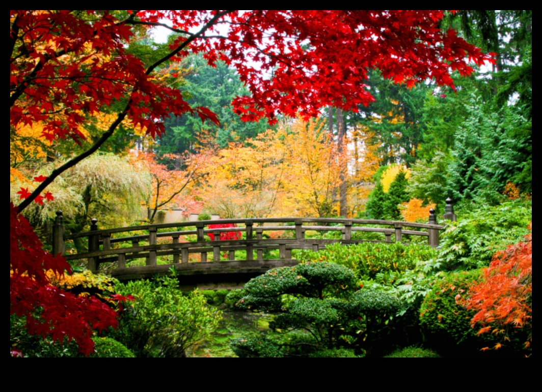 Maple Symphony Japanese Gardens in Autumn SplendorA Visual Feast for the Senses 4 Maple Symphony: Japanese Gardens in Autumn Splendor