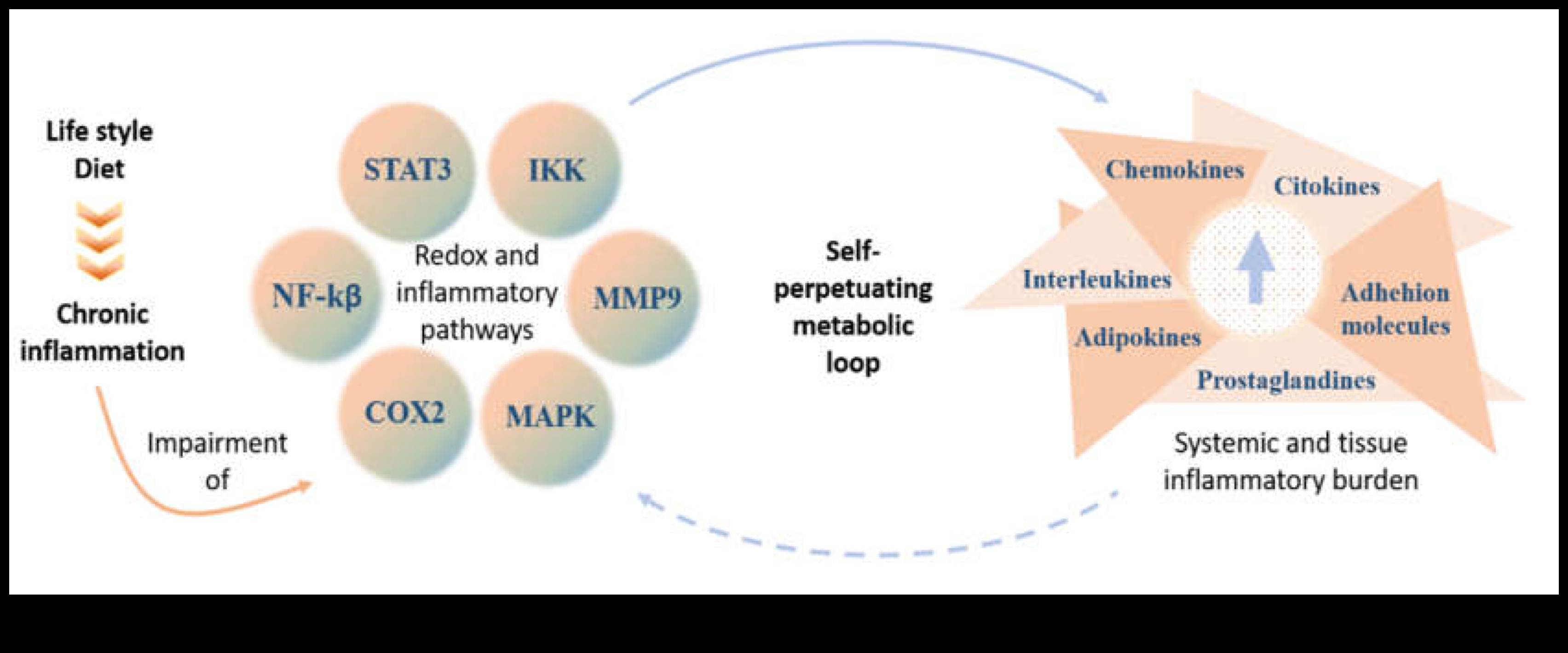 Ο αντίκτυπος της βραχυπρόθεσμης δίαιτας στα επίπεδα φλεγμονής