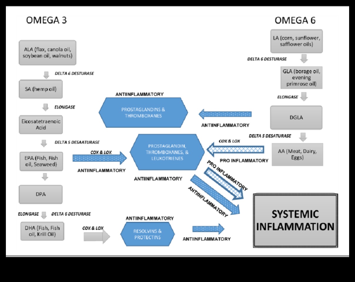 Ο αντίκτυπος της βραχυπρόθεσμης δίαιτας στα επίπεδα φλεγμονής