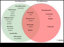 Βραχυπρόθεσμες δίαιτες και φλεγμονή Μια ανασκόπηση