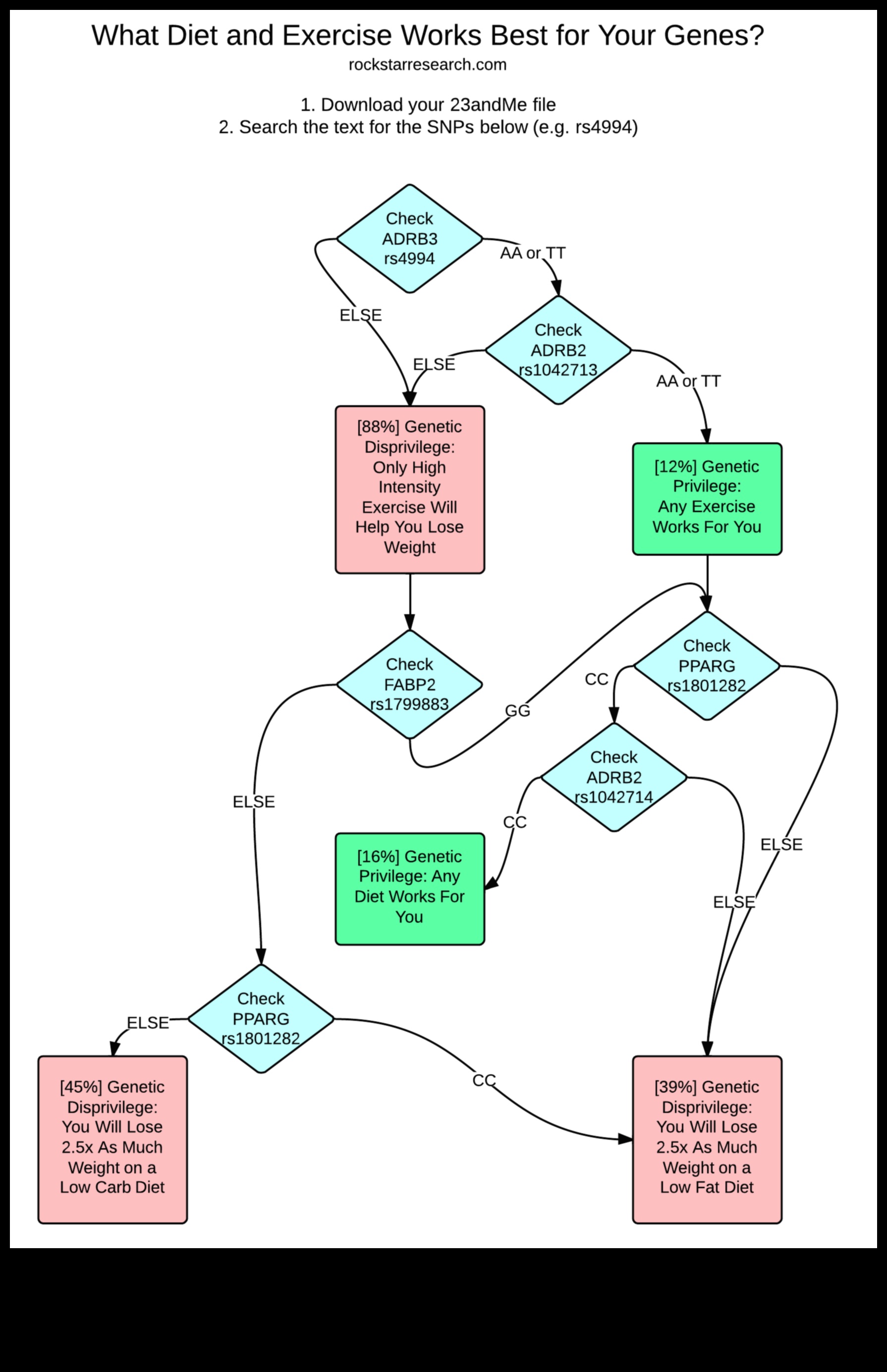 Η επίδραση της γενετικής στις αντιδράσεις της δίαιτας χαμηλής περιεκτικότητας σε λιπαρά