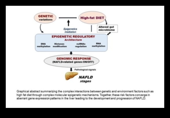 Η επίδραση της γενετικής στις αντιδράσεις της δίαιτας χαμηλής περιεκτικότητας σε λιπαρά