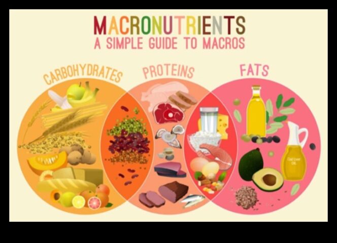 Macronutrient Symphony Μια ισορροπημένη διατροφή για μια υγιή ζωή