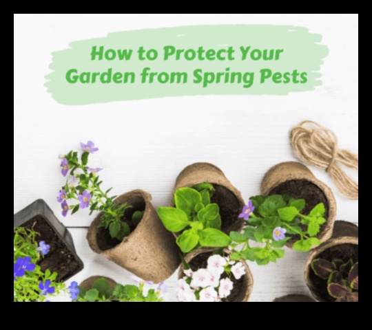 Pest Warfare: Safeguard Your Garden's Splendor