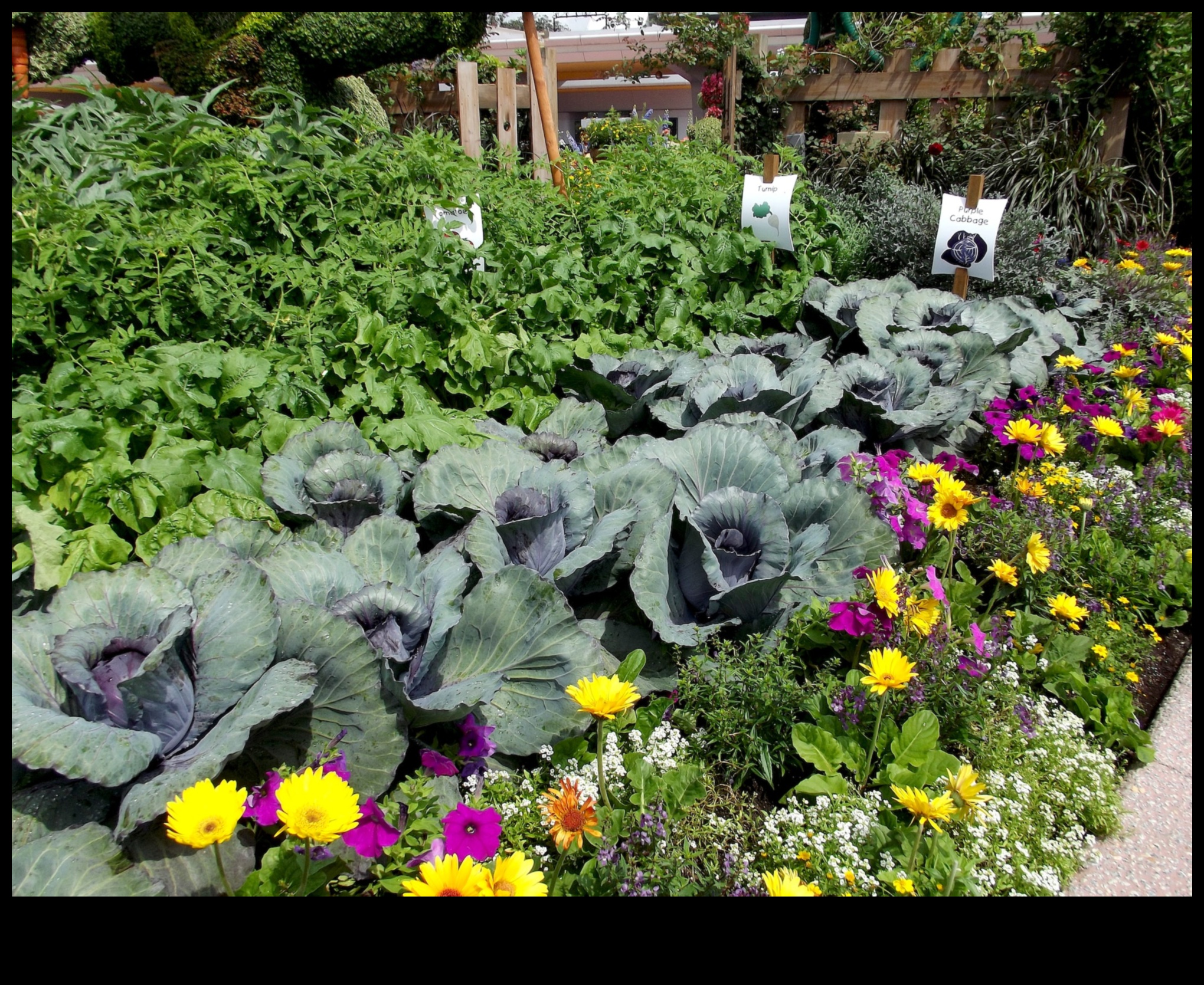 Sow and Reap A Guide to Blossoming Companion Gardens for the Modern Gardener 2 Sow and Reap: A Guide to Blossoming Companion Gardens