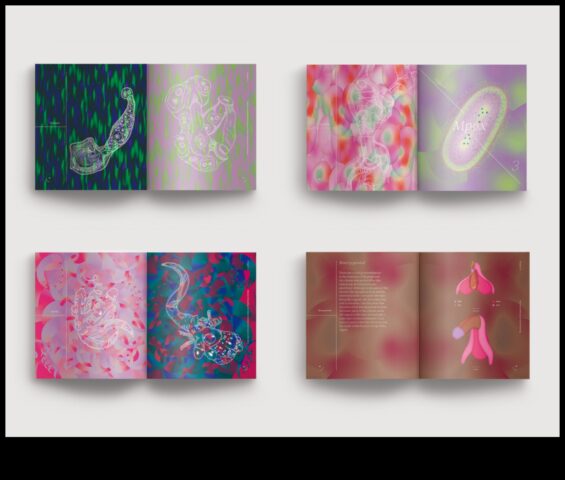 Abstract Anatomy Αποδομώντας την ανθρώπινη μορφή με μη παραδοσιακούς τρόπους