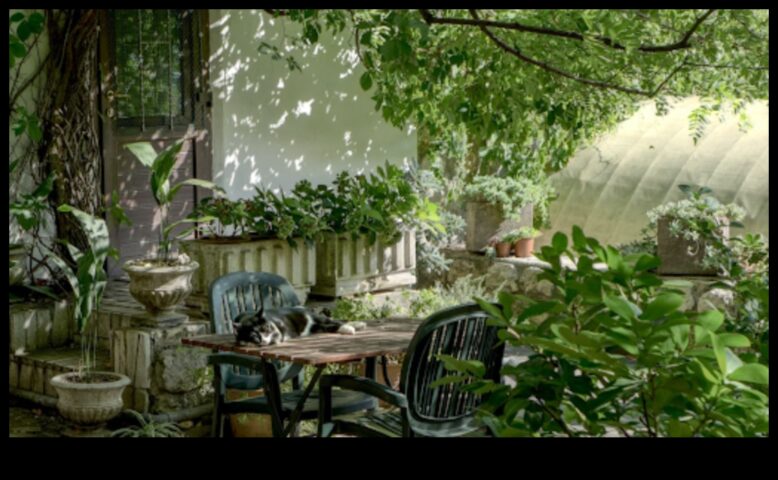 Το Garden Glory Unveiled Ανυψώστε τον χώρο σας με Top Gear – Ένας νέος τρόπος για να δείτε την αυλή σας