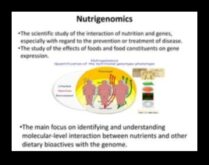 Genes in Harmony The Science of Nutrigenomics