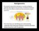 Genes in Harmony The Science of Nutrigenomics