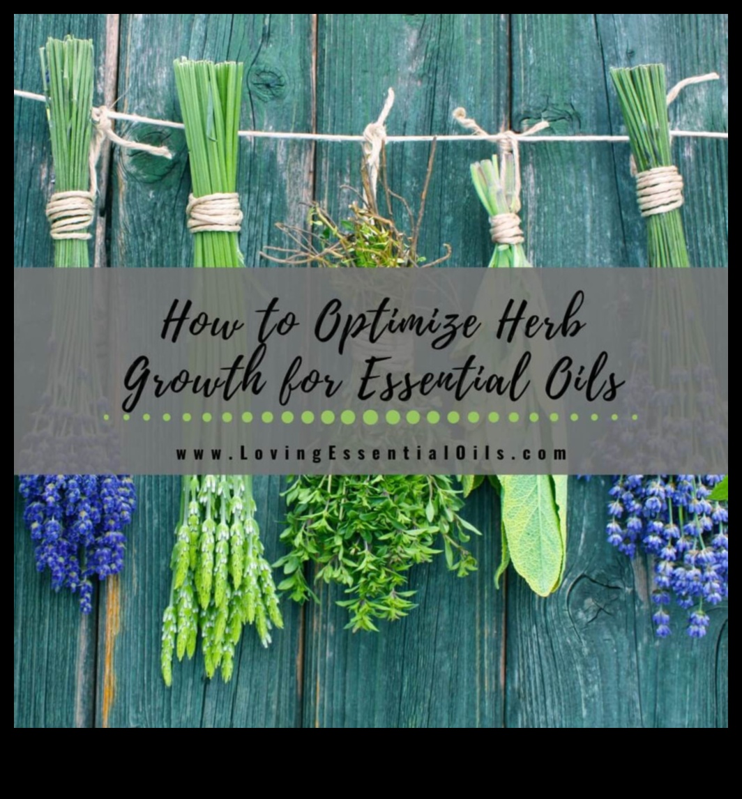 Harvest Happiness: Θερμοκήπιο Bounty σας περιμένει