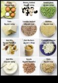 How to Go Vegetarian A Beginner’s Guide