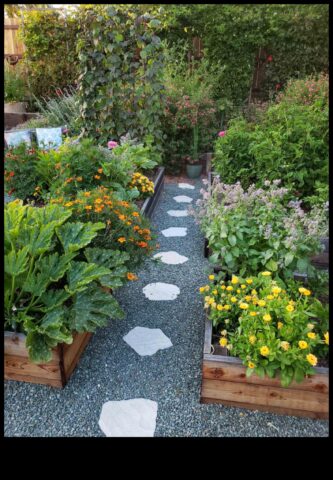 Sow and Reap A Guide to Blossoming Companion Gardens for the Modern Gardener