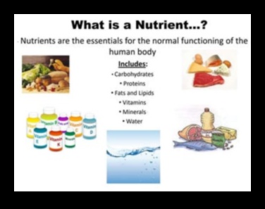Mastery Carbohydrate Ένας οδηγός για τα βασικά θρεπτικά συστατικά 1 Κυριαρχία στους υδατάνθρακες: Πλοήγηση στον κόσμο των βασικών θρεπτικών συστατικών
