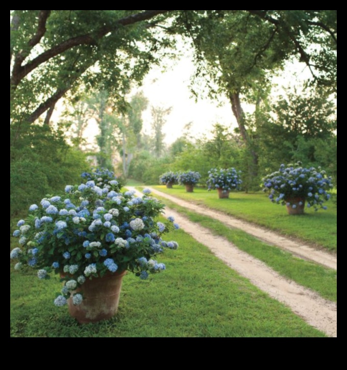 Εξωτερική κομψότητα: Σχεδιασμός κήπου πέρα ​​από τις προσδοκίες